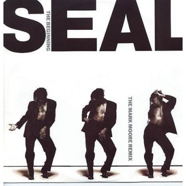 Seal - The Beginning (The Mark Moore Remix) (12'' Single)