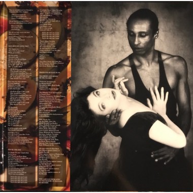 Kate Bush - The Red Shoes (2LP)