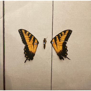 Paramore - Brand New Eyes(USA Edition)