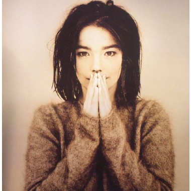 Bjork - Debut