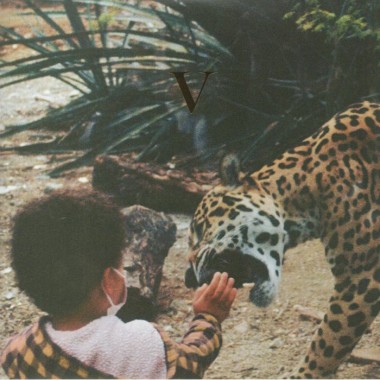 Unknown Mortal Orchestra - V(2 LP)(USA Edition)