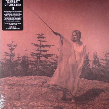 Unknown Mortal Orchestra - II(USA Edition)
