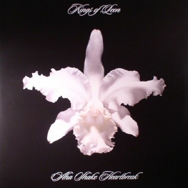 Kings Of Leon - Aha Shake Heartbreak(2 LP)