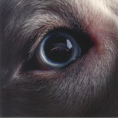 Roger Waters (Pink Floyd) - The Dark Side Of The Moon Redux(Blue Vinyl)(2 LP)