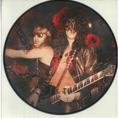 Guns N' Roses - Live In South America/Live Hits(Picture Disc)