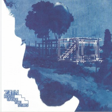 Zayn - Room Under The Stairs(Forest Green Vinyl)(2 LP)