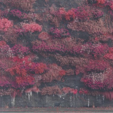 Sleep Token - Even In Arcadia(2 LP)
