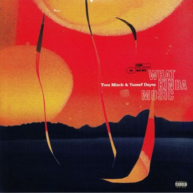 Tom Misch - What Kinda Music & YUSSEF DAYES(2 LP)