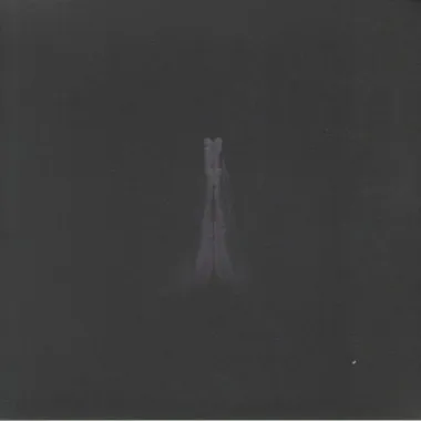 SAULT - Untitled (Rise)(2 LP)