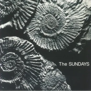 The SUNDAYS - Reading Writing & Arithmetic