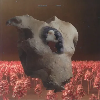 SOAP & SKIN - Torso(2 LP)
