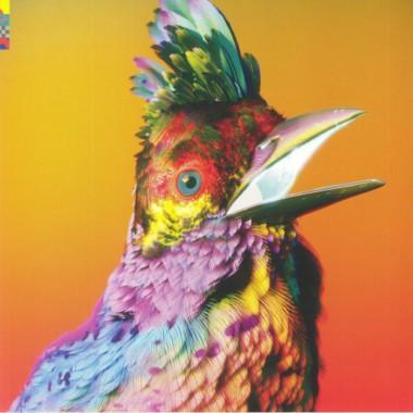 FLUME - Palaces(2 LP)